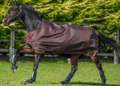 HORSEWARE ® Amigo® Hero 900 Lite Net Lined Turnout with Disc Front- Turnout Blankets