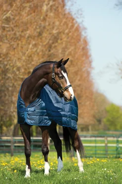 HORSEWARE ® Ireland 200 Gram Blanket Liner- Blanket Liners