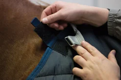 HORSEWARE ® Ireland 200 Gram Blanket Liner- Blanket Liners