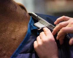 HORSEWARE ® Ireland 400 Gram Blanket Liner- Blanket Liners