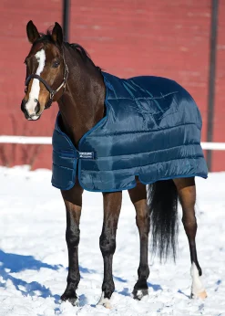 HORSEWARE ® Ireland 200 Gram Pony Blanket Liner- Blanket Liners