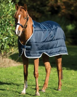 HORSEWARE ® Ireland 300 Gram Pony Blanket Liner- Blanket Liners