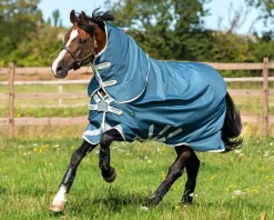 HORSEWARE ® Ireland Amigo® AmEco 12 Plus Lightweight Turnout Blanket- Turnout Blankets