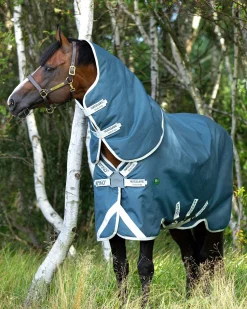HORSEWARE ® Ireland Amigo® AmEco 12 Plus Lightweight Turnout Blanket- Turnout Blankets