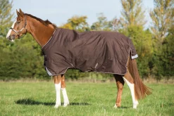 HORSEWARE ® Ireland Amigo® Bravo 12 Heavyweight Turnout Blanket- Turnout Blankets
