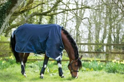 HORSEWARE ® Ireland Amigo® Bravo 12 Heavyweight Turnout Blanket- Turnout Blankets
