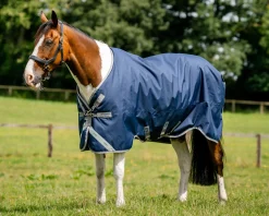HORSEWARE ® Ireland Amigo® 1200D Turnout Standard Neck- Turnout Blankets