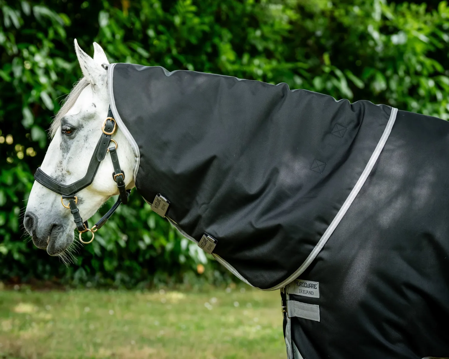 HORSEWARE ® Ireland Amigo® 1200D Plus Turnout- Turnout Blankets