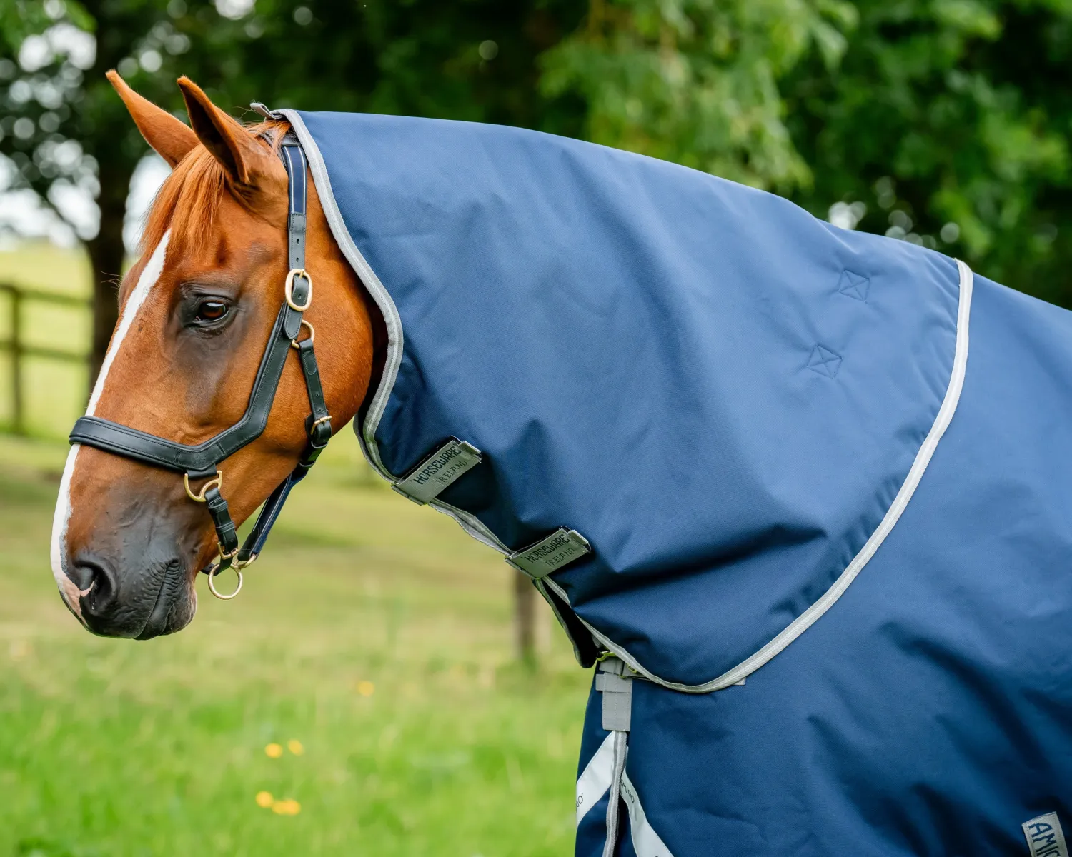 HORSEWARE ® Ireland Amigo® 1200D Plus Turnout- Turnout Blankets
