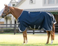 HORSEWARE ® Ireland Amigo® 1200D Turnout Sheet Standard Neck- Turnout Sheets