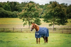 HORSEWARE ® Ireland Amigo® 900D Ripstop 0 Gram Turnout Sheet- Turnout Sheets
