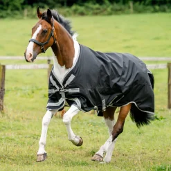 HORSEWARE ® Ireland Amigo® 1200D Plus Turnout 250 Gram- Turnout Blankets
