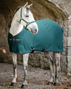 HORSEWARE ® Ireland Amigo® Jersey Cooler- Horse Coolers