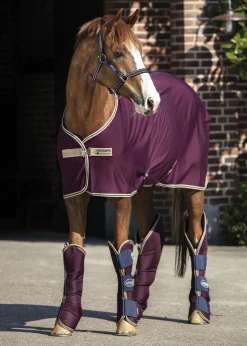 HORSEWARE ® Ireland Amigo® Jersey Cooler- Horse Coolers