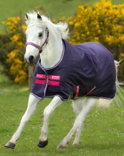 HORSEWARE ® Ireland Amigo® Pony Hero 900D Medium-Weight Turnout Blanket- Turnout Blankets