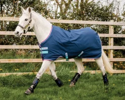 HORSEWARE ® Ireland Amigo® Pony Hero 900D Medium-Weight Turnout Blanket- Turnout Blankets