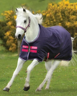 HORSEWARE ® Ireland Amigo® Pony Hero 900D Lite Turnout Sheet- Turnout Sheets