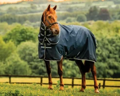 HORSEWARE ® Ireland Amigo® Ripstop 900D 200 Grams Plus Pony Turnout- Turnout Blankets