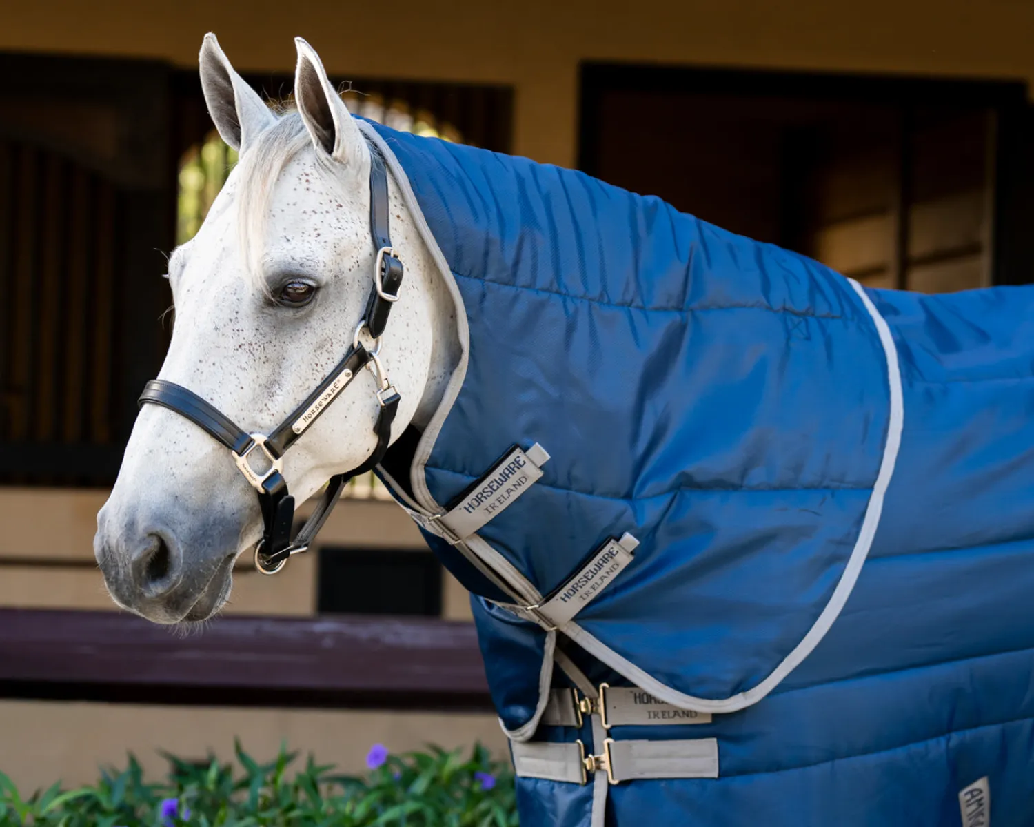 HORSEWARE ® Ireland Amigo® Ripstop Insulator Stable Plus Blanket - 350G- Stable Blankets