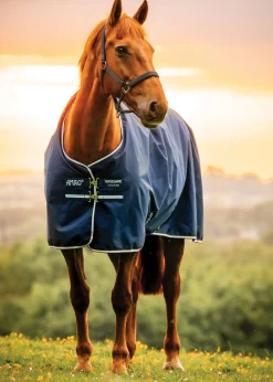 HORSEWARE ® Ireland Amigo® Ripstop 900D 100 Gram Standard Neck Pony Turnout–Seasonal Color- Turnout Blankets