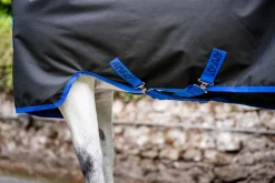 HORSEWARE ® Ireland Amigo® Ripstop 900D Standard Neck Pony Turnout Sheet- Turnout Sheets