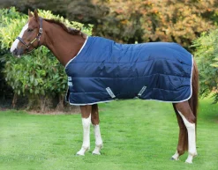 HORSEWARE ® Ireland Amigo® Stable Blanket- Stable Blankets