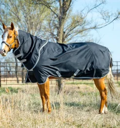 HORSEWARE ® Ireland Amigo® Stock Horse Plus 200g- Turnout Blankets