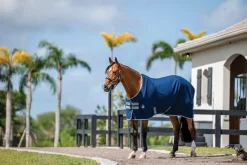 HORSEWARE ® Ireland Amigo® Stable Sheet–Core Color- Stable Sheets