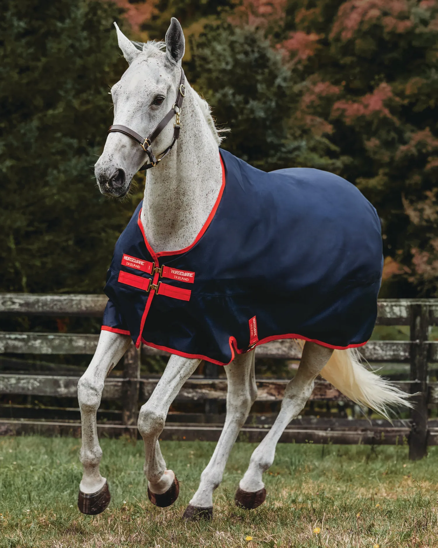 HORSEWARE ® Ireland Exclusive 600D 0 Gram Ripstop Turnout Sheet- Turnout Sheets