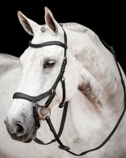 HORSEWARE ® Ireland Micklem2 Competition Bridle with Reins- English Bridles