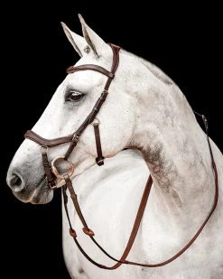 HORSEWARE ® Ireland Micklem2 Competition Bridle with Reins- English Bridles