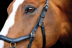 HORSEWARE ® Ireland Micklem2 Competition Bridle with Reins- English Bridles