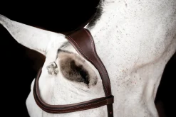 HORSEWARE ® Ireland Micklem2 Competition Bridle with Reins- English Bridles