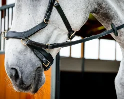 HORSEWARE ® Ireland Micklem2 Multibridle USA with Reins- English Bridles