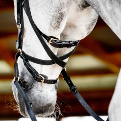 HORSEWARE ® Ireland Micklem2 Multibridle USA with Reins- English Bridles