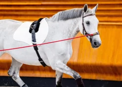 HORSEWARE ® Ireland Micklem2 Multibridle USA with Reins- English Bridles