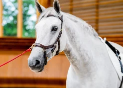 HORSEWARE ® Ireland Micklem2 Multibridle USA with Reins- English Bridles