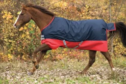 HORSEWARE ® Ireland Mio® Lite Turnout Sheet- Turnout Sheets