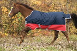 HORSEWARE ® Ireland Mio® Lite Turnout Sheet- Turnout Sheets