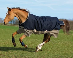 HORSEWARE ® Ireland Mio® Lite Turnout Sheet- Turnout Sheets