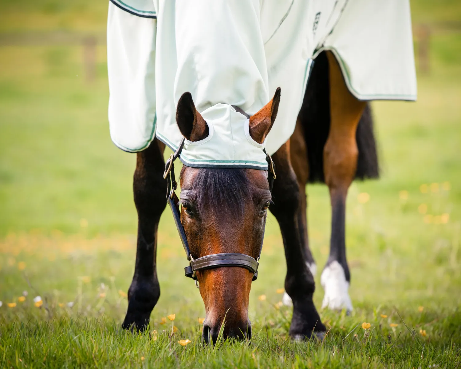 HORSEWARE ® Ireland Rambo® Hoodie- Fly Control|Fly Sheets