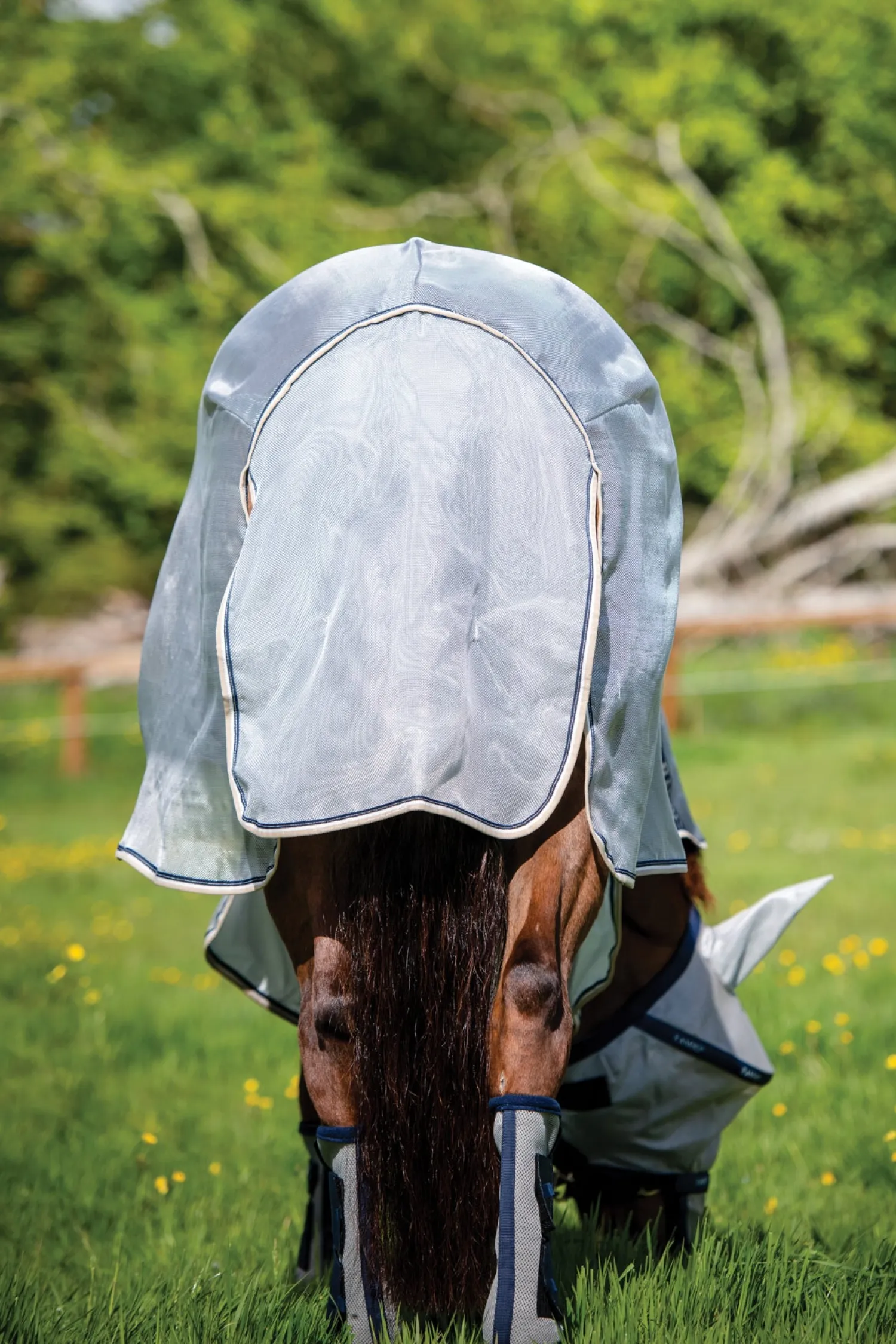 HORSEWARE ® Ireland Rambo® Protector Fly Sheet- Fly Control|Fly Sheets