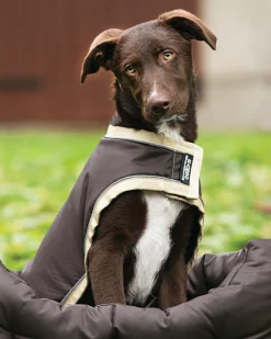 HORSEWARE ® Ireland Rambo® Waterproof Dog Blanket- Dog Blankets