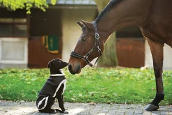 HORSEWARE ® Ireland Rambo® Waterproof Dog Blanket- Dog Blankets