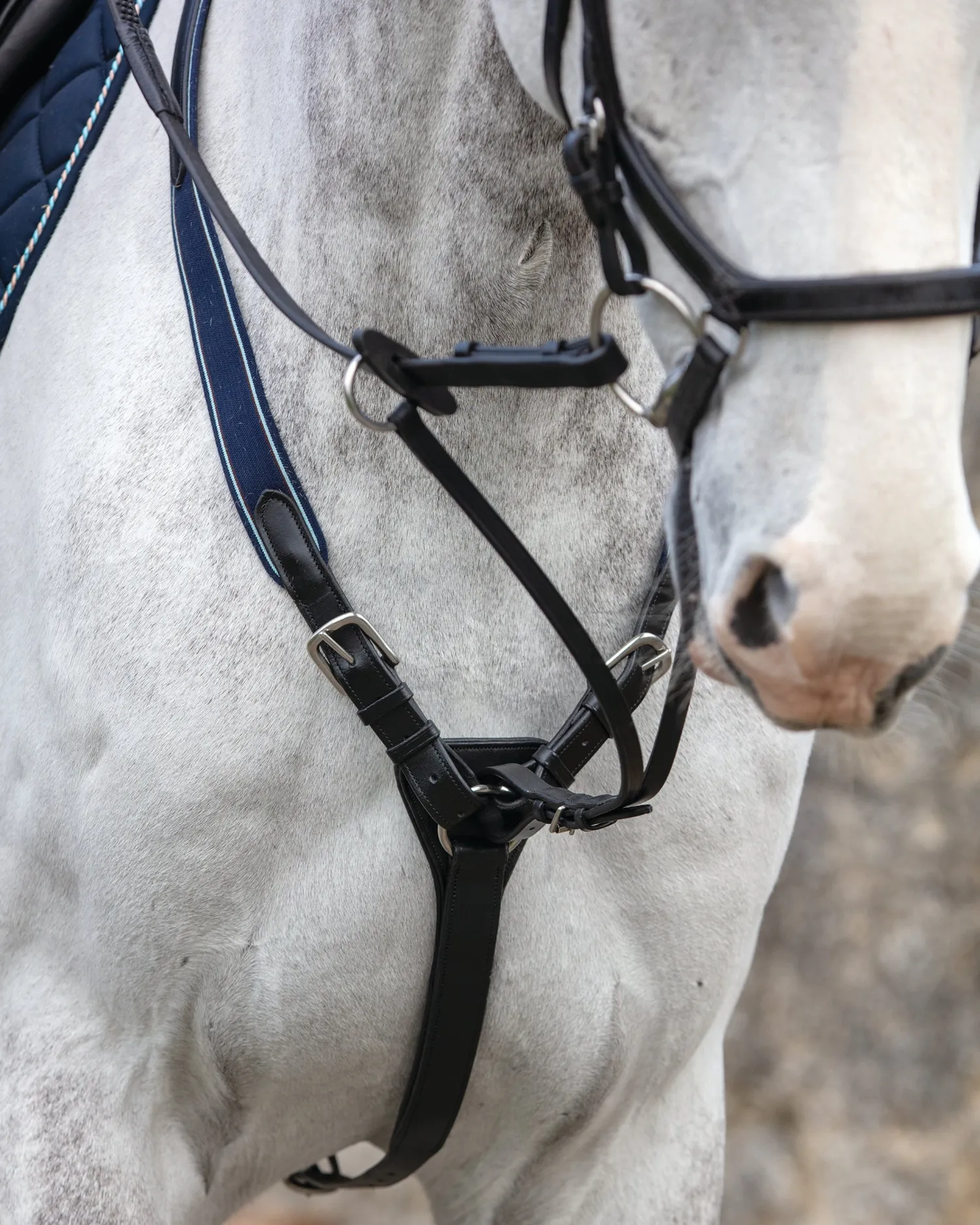 HORSEWARE ® Rambo® Micklem® Three-Point Breastplate- Martingales & Breastplates