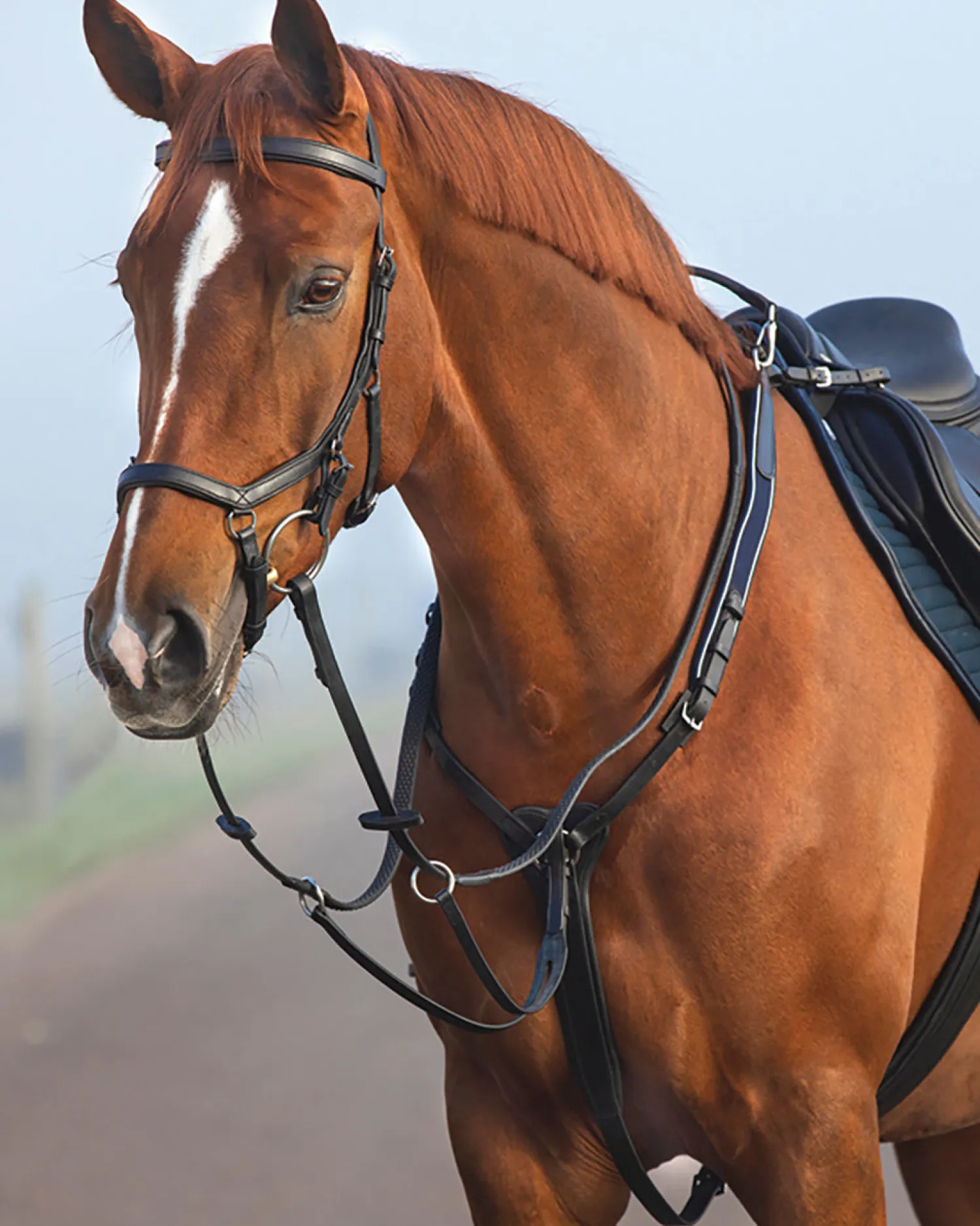 HORSEWARE ® Rambo® Micklem® Three-Point Breastplate- Martingales & Breastplates