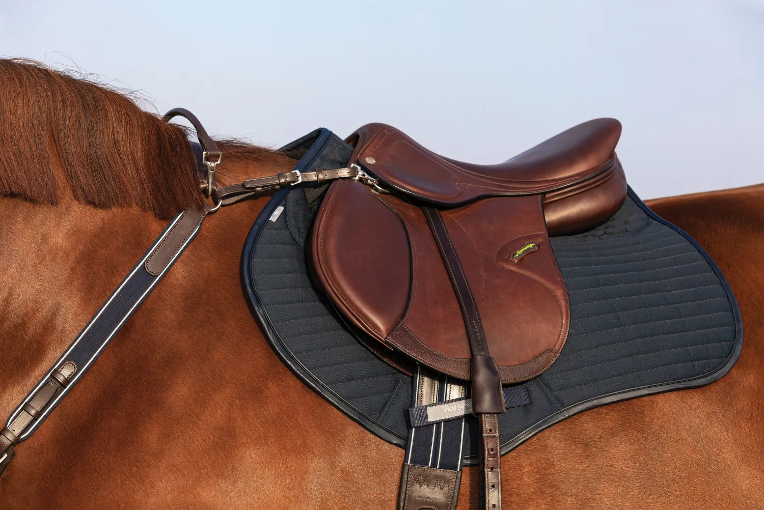HORSEWARE ® Rambo® Micklem® Three-Point Breastplate- Martingales & Breastplates
