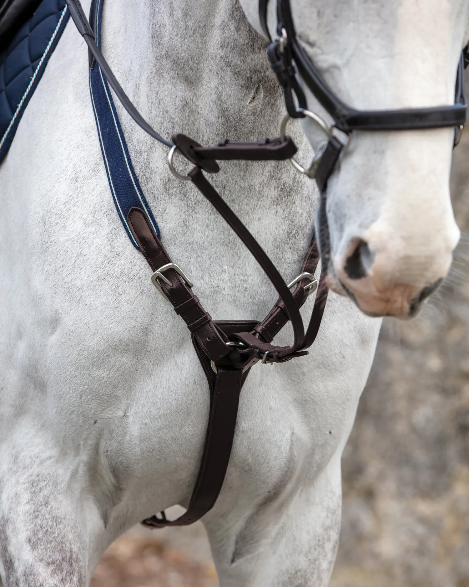 HORSEWARE ® Rambo® Micklem® Three-Point Breastplate- Martingales & Breastplates