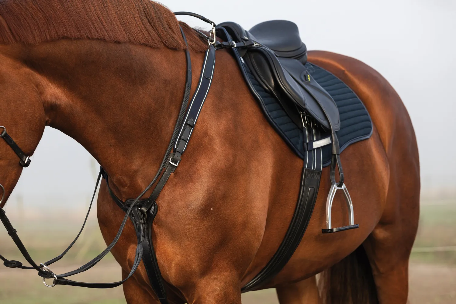 HORSEWARE ® Rambo® Micklem® Three-Point Breastplate- Martingales & Breastplates