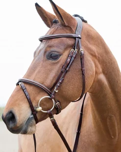 EQUINAVIA Horze Constance Padded Flash Snaffle Bridle- English Bridles